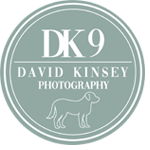 DK9 Photography